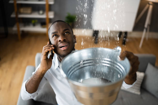 Best 24-hour water damage restoration  in Silver Ridge, NJ