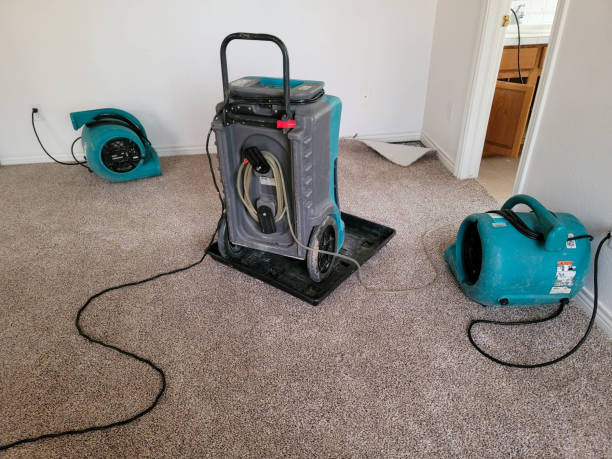 Best Ceiling water damage repair  in Silver Ridge, NJ
