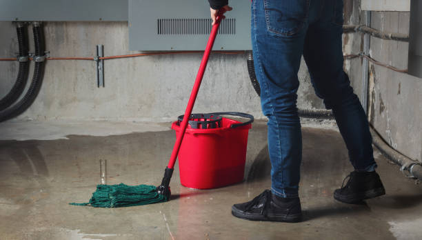 Best Flood restoration services  in Silver Ridge, NJ