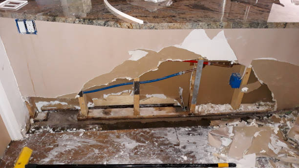 Best Water damage cleanup near me  in Silver Ridge, NJ