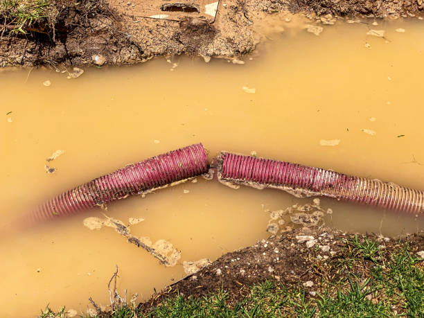 Best Flood damage cleanup  in Silver Ridge, NJ